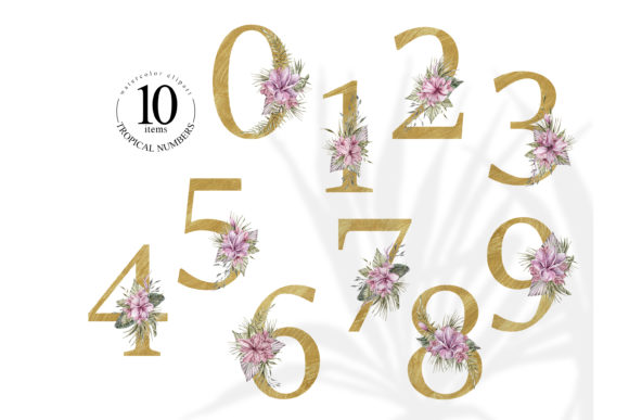 Gilded Blooms: Reviewing Gold Floral Numbers Clipart for Branding & Marketing Illustrations