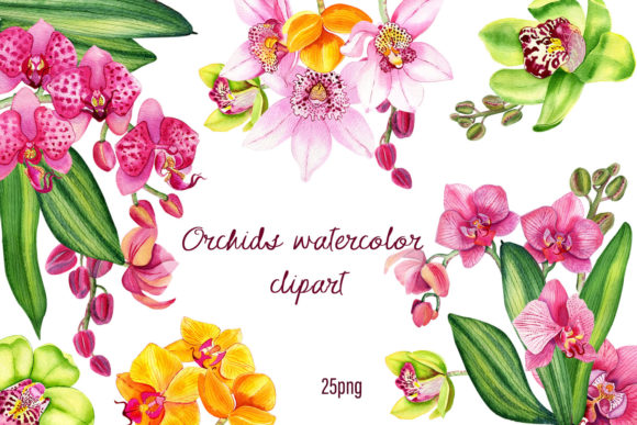 Orchids Clipart Tropical Watercolor – Elegant Illustrations for Cricut, Printables & Handmade Crafts