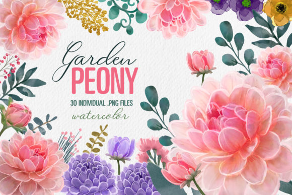 Peony Floral Watercolor 30 PNG for Branding and Marketing Projects