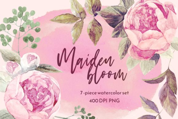 Pink Peony Floral Watercolor Set & Illustrations