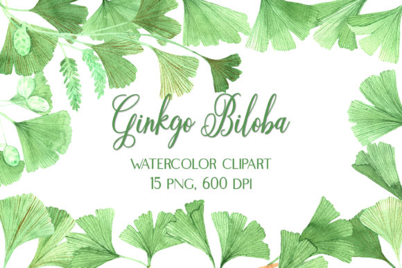 Watercolor Clipart Ginkgo Biloba: A Designer’s Real-Use Review