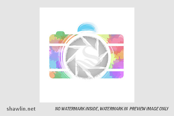 Watercolor Photography Camera Illustrations: A Designer’s Review for Brand & Marketing Use