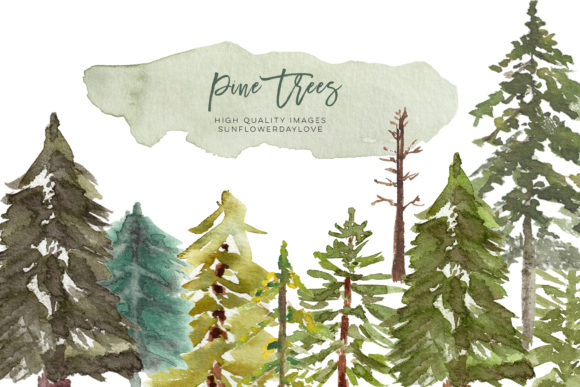 Watercolor Pine Tree Clipart Elevates Natural Branding with Illustrations