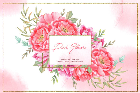 Watercolor Pink Flowers Collection Illustrations