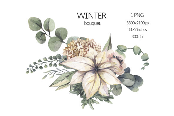 Watercolor Winter Floral Illustrations: A Brand Designer’s Review for Marketing Use