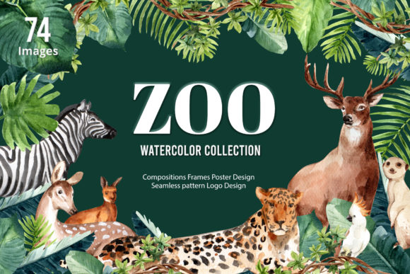 Zoo the Animals Wildlife Watercolor Illustrations